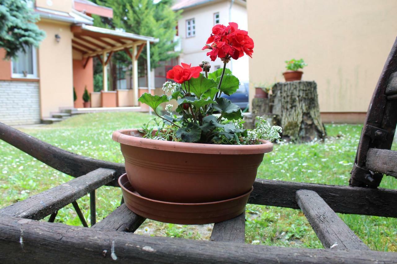 Strigonia Apartman Έστεργκομ Εξωτερικό φωτογραφία